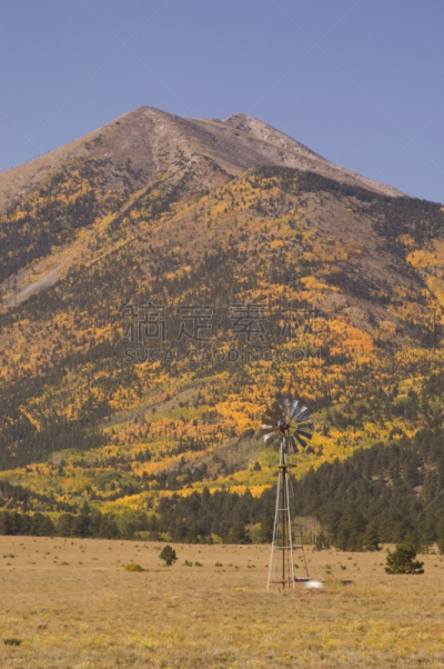 普林斯顿山,风车,秋天,高校峰,撒瓦琪山脉,白杨类,垂直画幅,水,风,洛矶山脉