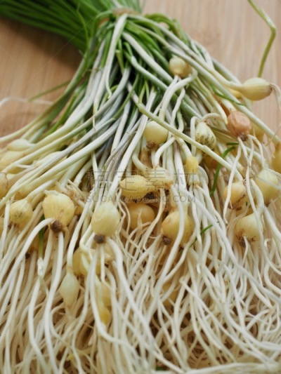 细香葱,成分,野生植物,韩国食物,蔬菜,清新,中文,香料,饮食产业,野葱