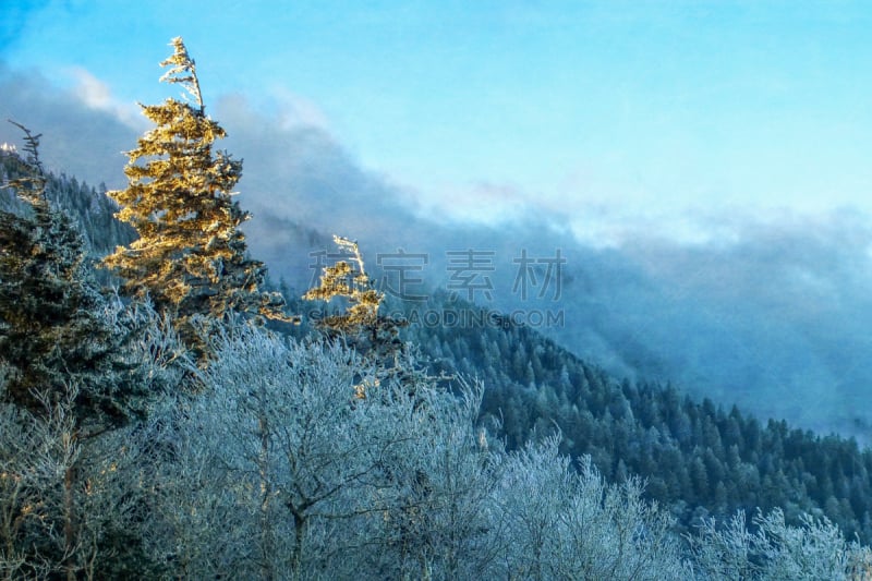 蓝色,霜,滑雪坡,clingman's dome,天空,水平画幅,无人,早晨,户外,树林