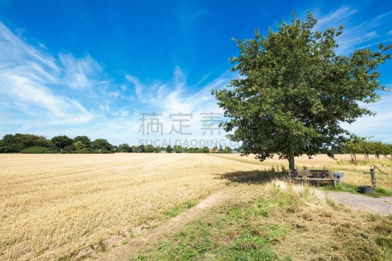 后备球员,自然,天空,北莱茵威斯特法伦州,水平画幅,蓝色,夏天,户外,太阳,克雷菲尔德
