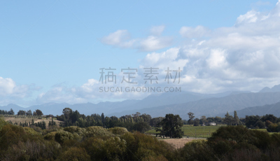 葡萄园,新西兰,葡萄酒,天空,水平画幅,山,马尔堡,无人,澳大拉西亚,户外