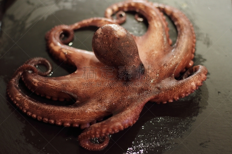 动物,海产,精神振作,格子烤肉,触须,清新,蛋糕,面包,食品,成分