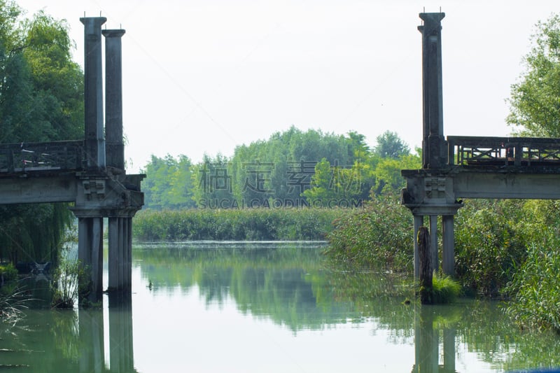 泻湖,建筑结构,被抛弃的,普通芦苇,苇地,地下水,梯牧草,香蒲,藓沼,簇叶从生的