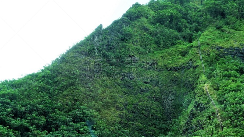 俳句,瓦胡岛,楼梯,天国的阶梯,小路,徒步旅行,卡内奥赫,清新,太平洋岛屿,热带气候