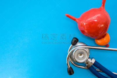 前列腺,膀胱,泌尿系统,听诊器,模型,健康保健,概念,手术,学习,摄影