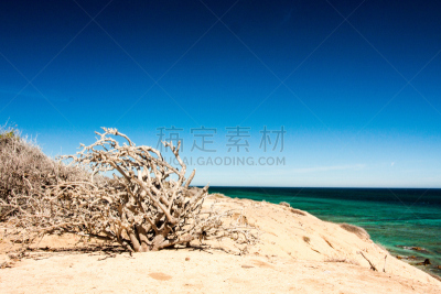 海滩,水,天空,水平画幅,沙子,无人,旅行者,野外动物,夏天,布希曼族