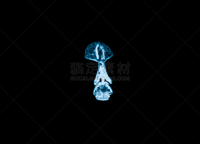 磁共振成象扫描,人的脸部,人的头部,cat扫描仪,水平画幅,人,健康保健,图像