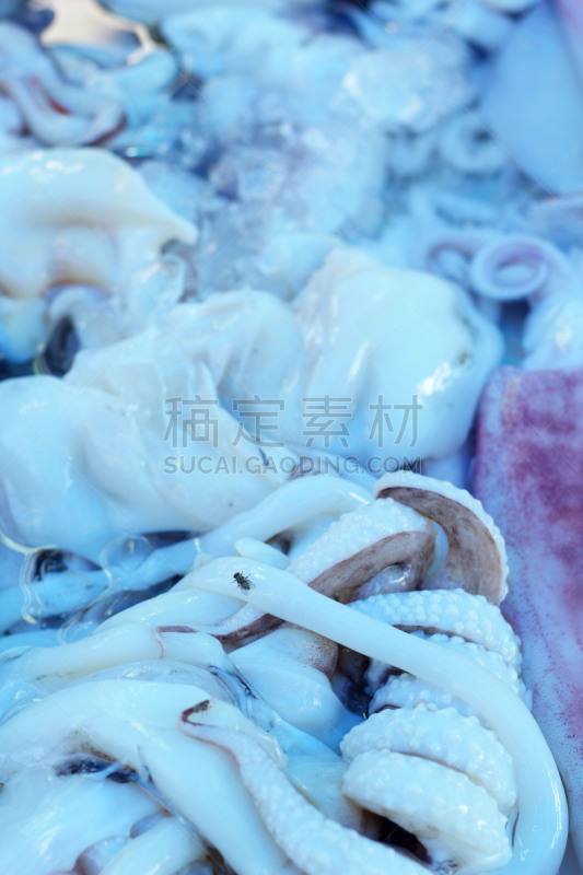 清新,乌贼,股票行情,自然,垂直画幅,褐色,无人,动物,海产,海洋