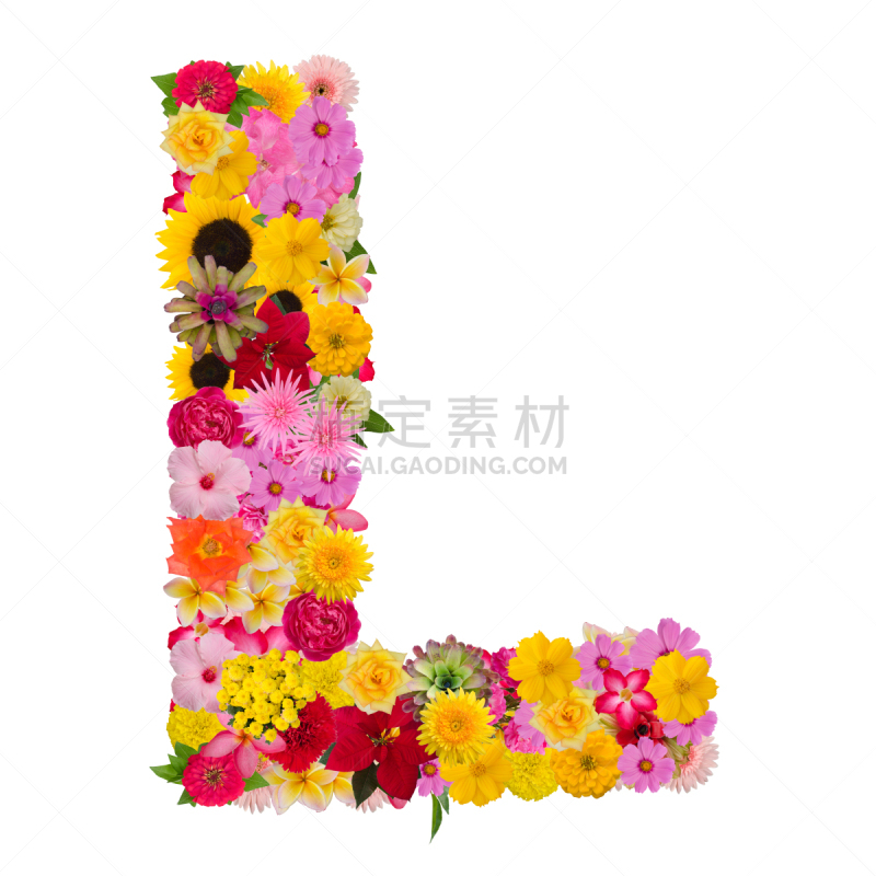 字母,英文字母l,字体,字母表次序,概念,品牌名称,接力赛,玫瑰,背景分离,马齿苋