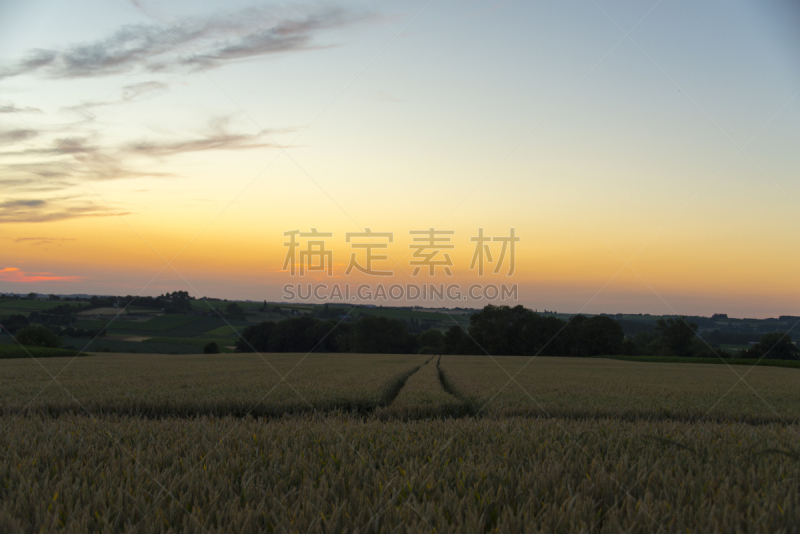 天空,风景,丘陵起伏地形,活力,黄昏,早晨,夏天,光,气候与心情,东佛兰德