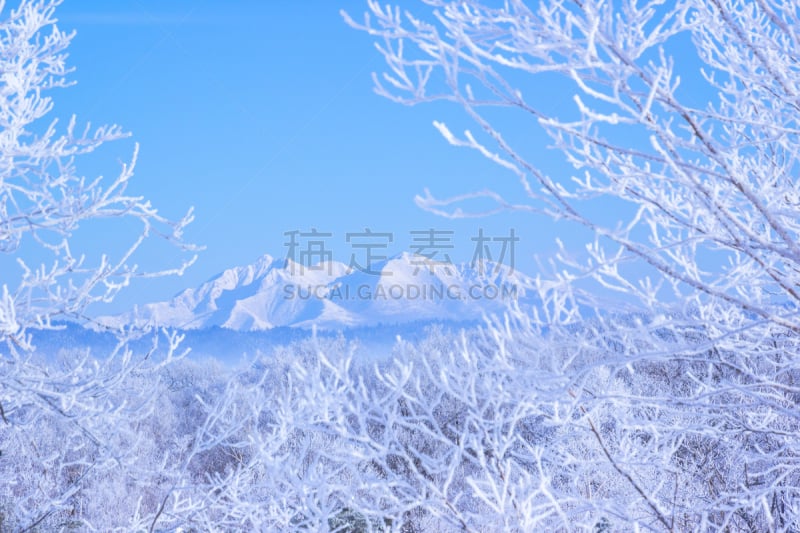 知床半岛,北海道,日本,软霜,斜里岳,知床山,霜,雾淞,天空,雪