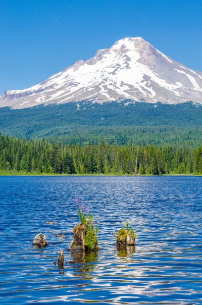 特里林湖,胡德雪山,夏天,十峰谷,卡斯基德山脉,垂直画幅,俄勒冈州,俄勒冈郡,雪,无人