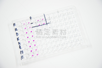 盘子,一次性物品,未来,生物科技,水平画幅,小的,无人,蓝色,噪声,科学