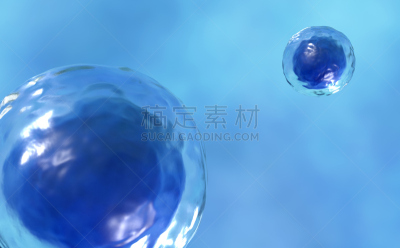 人体细胞,大规模的放大,干细胞,膜,细胞核,染色体,皮氏培养皿,癌细胞,真核生物,植物细胞