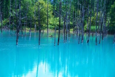 风景,蓝色,日本,池塘,天空,水平画幅,无人,夏天,观测点,户外