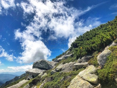 长野县,环境,云,长野县驹根市,天气,草,自然美,岩石,户外,天空