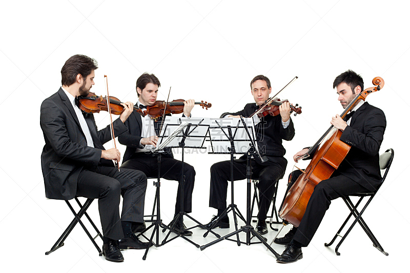 弦乐四重奏,四重奏,古典音乐人,管弦乐队,小提琴手,音乐人,古典乐,小提琴,乐器弦,琴码