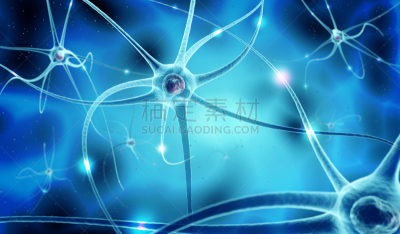 神经系统,绘画插图,三维图形,人,神经元,细胞核,生物,水平画幅,科学,神经轴突