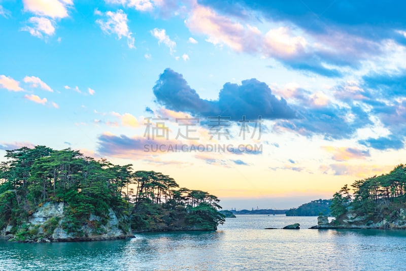 黄昏,松树,岩石,岛,自然美,松岛湾,有包装的,国内著名景点,云景,曙暮光