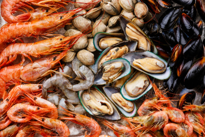 生食,海产,特写,鸡尾酒,寒冷,排列整齐,水平画幅,贻贝,明虾,冰