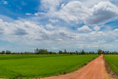 农场,痕迹,田地,稻,越野赛跑,自然,暴风雨,水平画幅,树篱,山