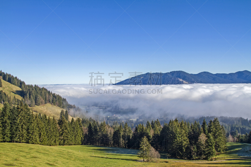 雾,逆温层,上巴伐利亚,天空,草地,水平画幅,地形,山,秋天,无人