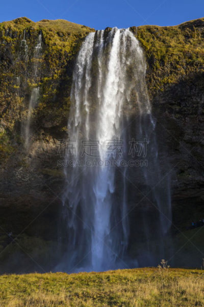 南,seljalandsfoss waterfall,冰岛国,传统,枝繁叶茂,著名景点,北欧,河流,彩虹,瀑布