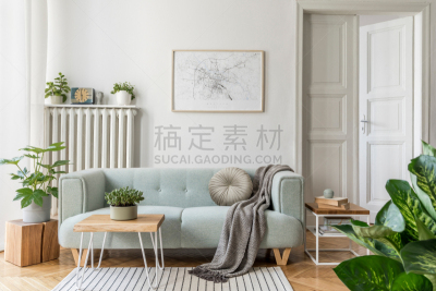 斯堪的纳维亚半岛,模板,现代,高雅,唇形科,沙发,装饰物,起居室,室内