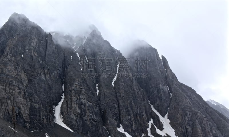 雾,两只动物,水,灵性,洛矶山脉,雪,早晨,夏天,山脊,高处