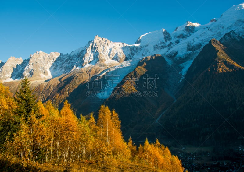 勃朗峰,秋天,水平画幅,雪,无人,霞慕尼,树林,高处,上萨瓦,山