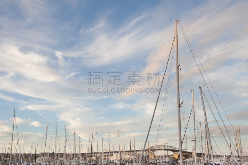 奥克兰,停泊的,船,桥,背景聚焦,waitemata harbour,水,水平画幅,码头,无人