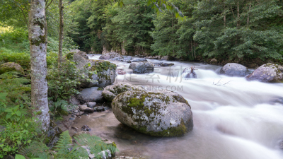 土耳其,河流,自然,绿色,地形,森林,自然美,阿尔特温,国内著名景点,环境
