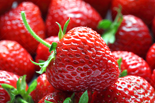 草莓,水平画幅,自然,维生素,夏天,特写,甜点心,俄罗斯,大量物体