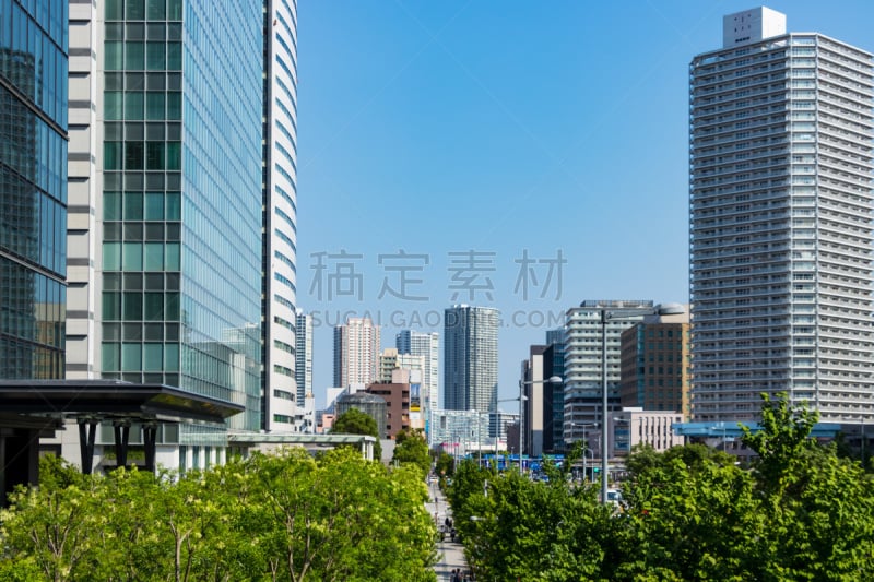 Toyosu buildings and tree-lined street１１