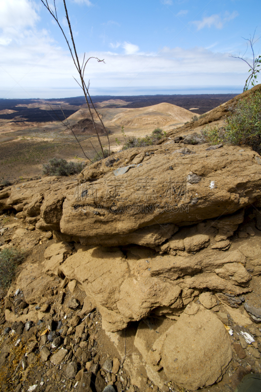 timanfaya national park,植物,灌木,海洋,兰萨罗特岛,垂直画幅,天空,公园,褐色,洞