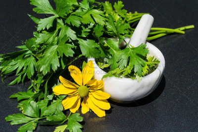 欧芹,食品杂货,素食,水泥,研磨器,平滑的,清新,绿色,十字花科