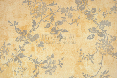 花纹,黄金,巴洛克风格,爱德华七世时代风格,古典式,古董,复古风格,仿旧磨损的效果,水平画幅,纹理效果