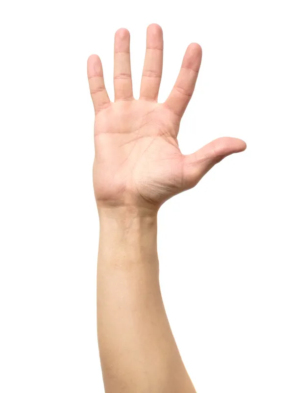 手掌男人 手掌男人图片 手掌男人素材下载 稿定素材