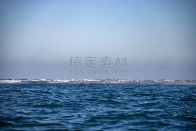 灰鲸科,威尼斯礁湖,幼小动物,新生活,下加利福尼亚州,高潮,自然,拉丁美洲,野生动物,风景