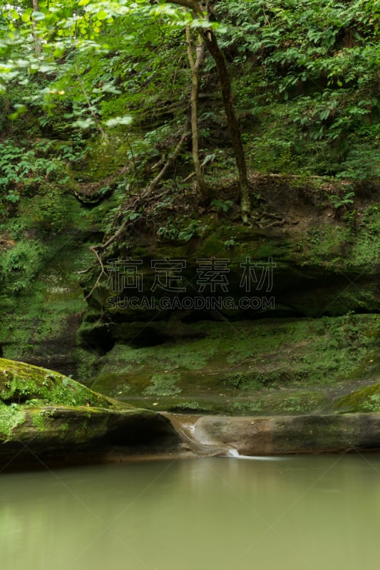 早晨,夏天,峡谷,饥饿岩石州立公园,伊利诺斯州,八月,垂直画幅,水,瀑布,无人