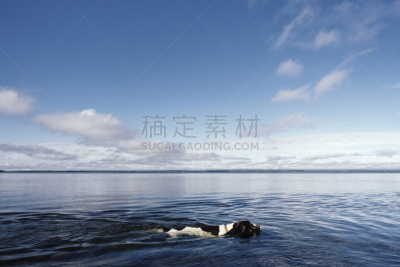 水,宁静,狗,自然,天空,群岛,水平画幅,无人,水平线,蓝色