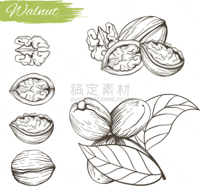 坚果,农业,一个物体,背景分离,食品,维生素,复古风格,成分,背景,水果