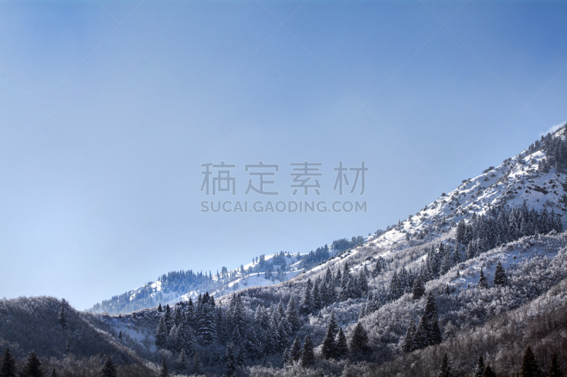 犹他,瓦萨屈山脉,美,公园,度假胜地,水平画幅,雪,滑雪坡,户外,高处