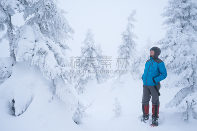 冬天,森林,山,仅男人,一月,一个人,仅一个男人,霜,雪,云杉