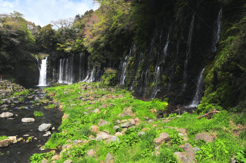 shiraito falls,自然,水,水平画幅,绿色,枝繁叶茂,瀑布,无人,日本,夏天