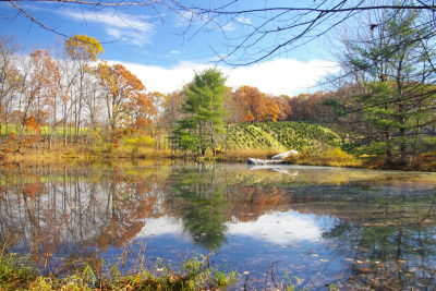 池塘,农场,舒约契尔河,水,天空,水平画幅,秋天,蓝色,户外,船