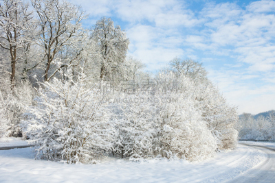 雪,冬天,在下面,路,陆地,非凡的,冬季服务,水平画幅,爆破小组,雪铲