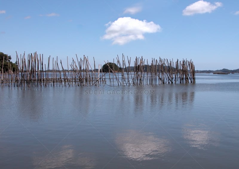 地形,水,天空,松岛,度假胜地,水平画幅,夏天,户外,云景,钓竿