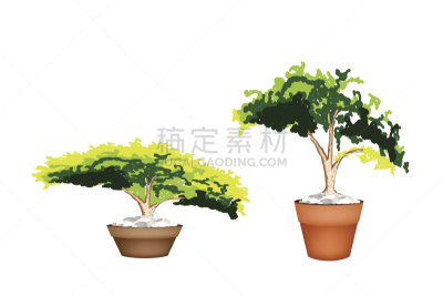 花盆,两只动物,常绿植物,赤土陶器,华丽的,清新,枝繁叶茂,榆树,装饰物,白杨