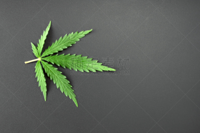 绿色,黑色,背景,健康保健,留白,叶子,文字,在上面,概念